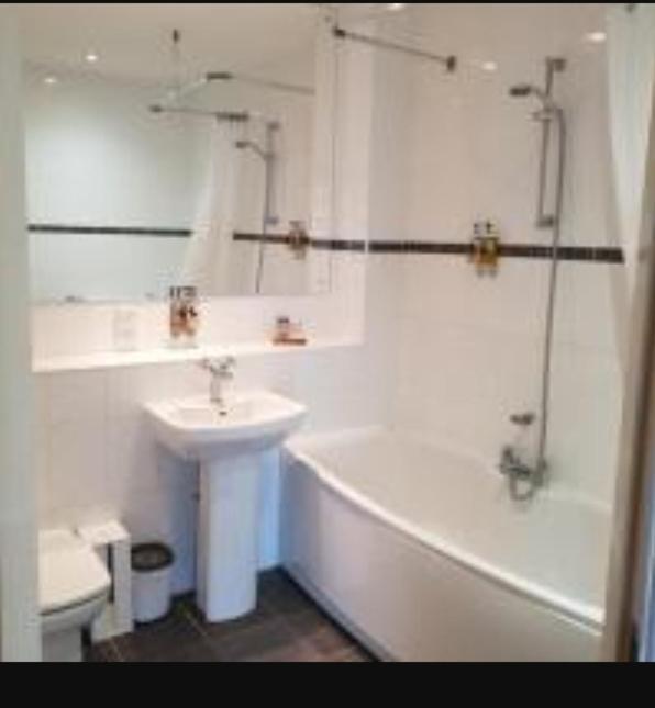 Parc Y Bryn Luxury Penthouse Apartment Aberystwyth Bagian luar foto