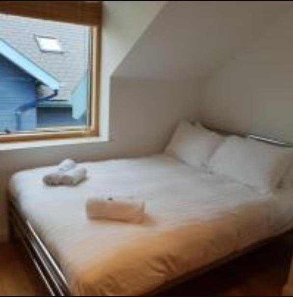 Parc Y Bryn Luxury Penthouse Apartment Aberystwyth Bagian luar foto