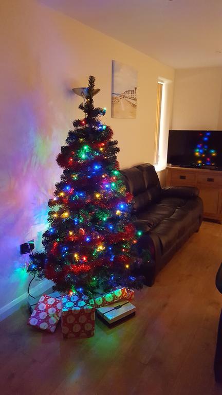 Parc Y Bryn Luxury Penthouse Apartment Aberystwyth Bagian luar foto